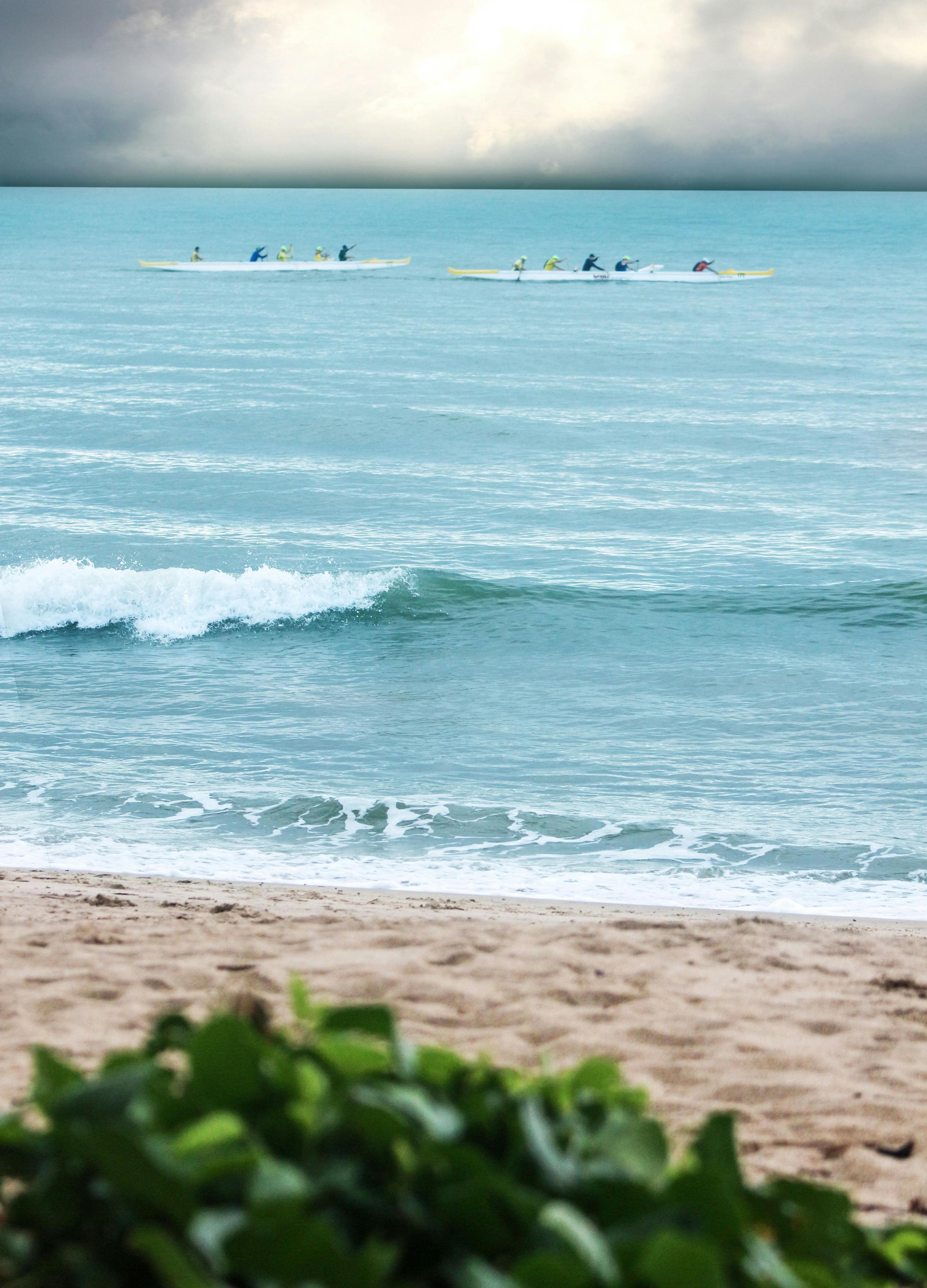 Micronutrients vs macronutrients food sources