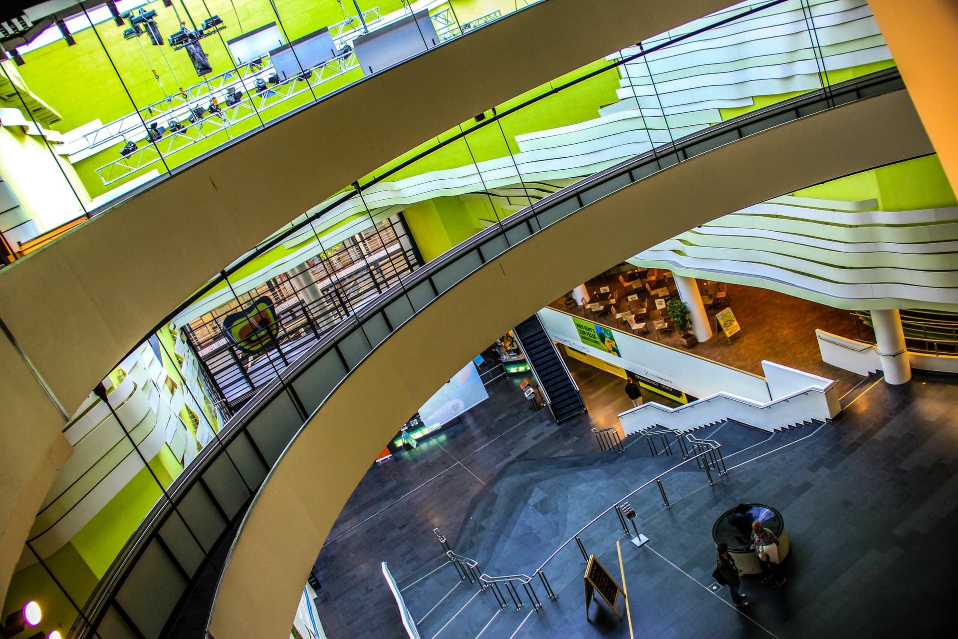 How Much Fat Per Day: Daily Recommendations & Guidelines