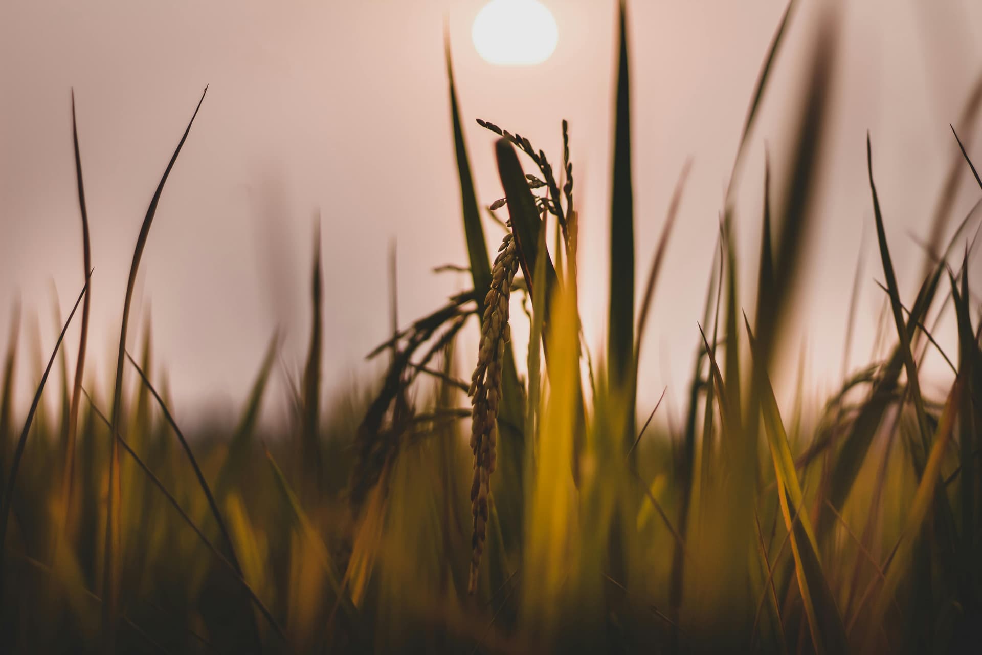 Low Calorie High Protein Snacks: 25+ Best Snacks Under 200 Calories