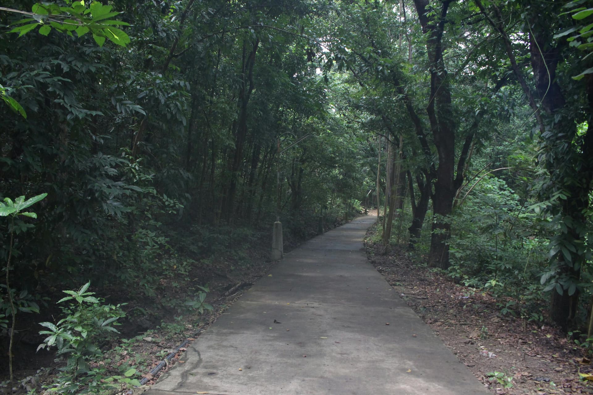 How Many Calories in Common Foods: Complete Calorie Chart