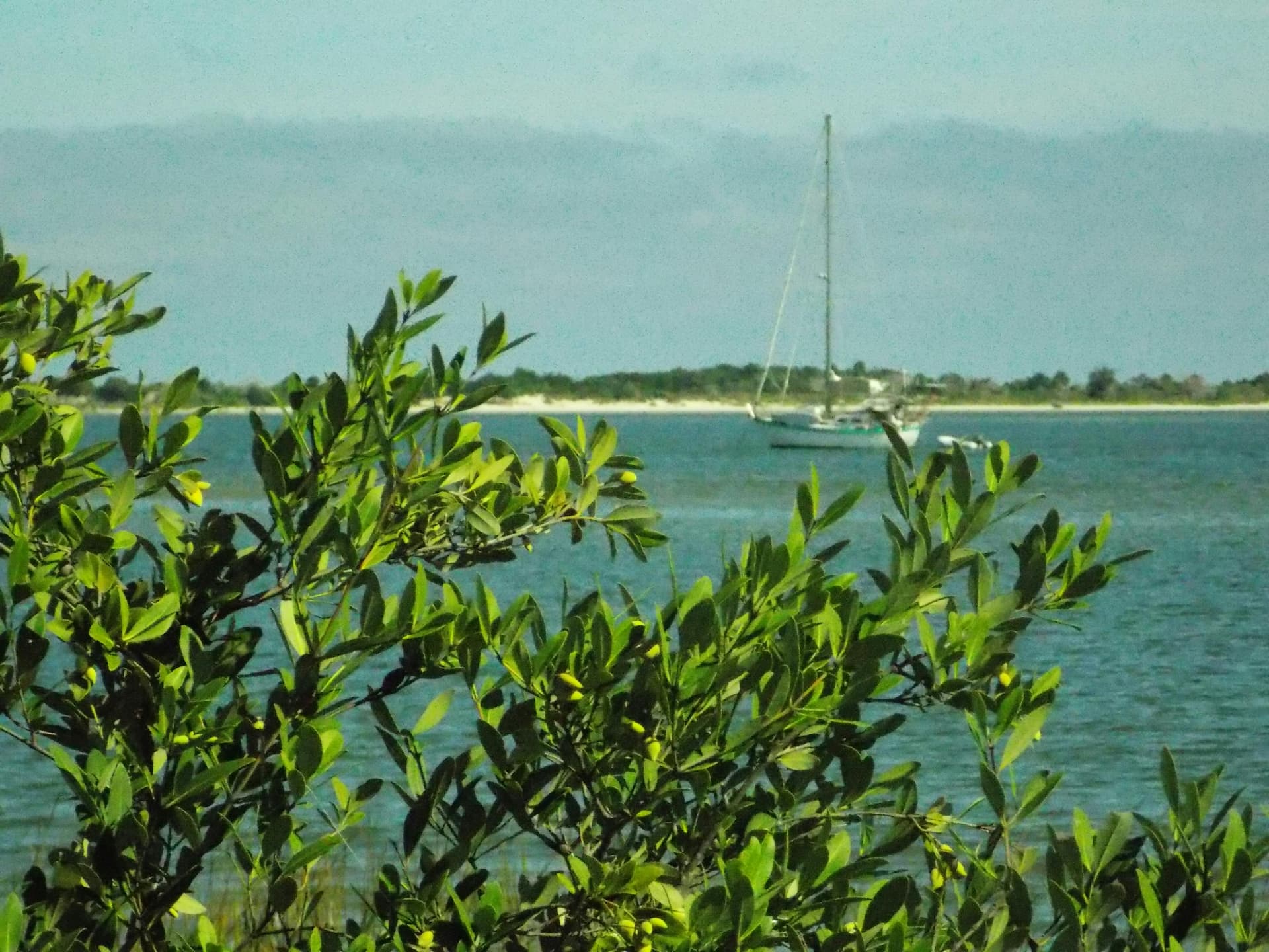 Alcohol and Weight Loss: How Drinking Affects Your Results