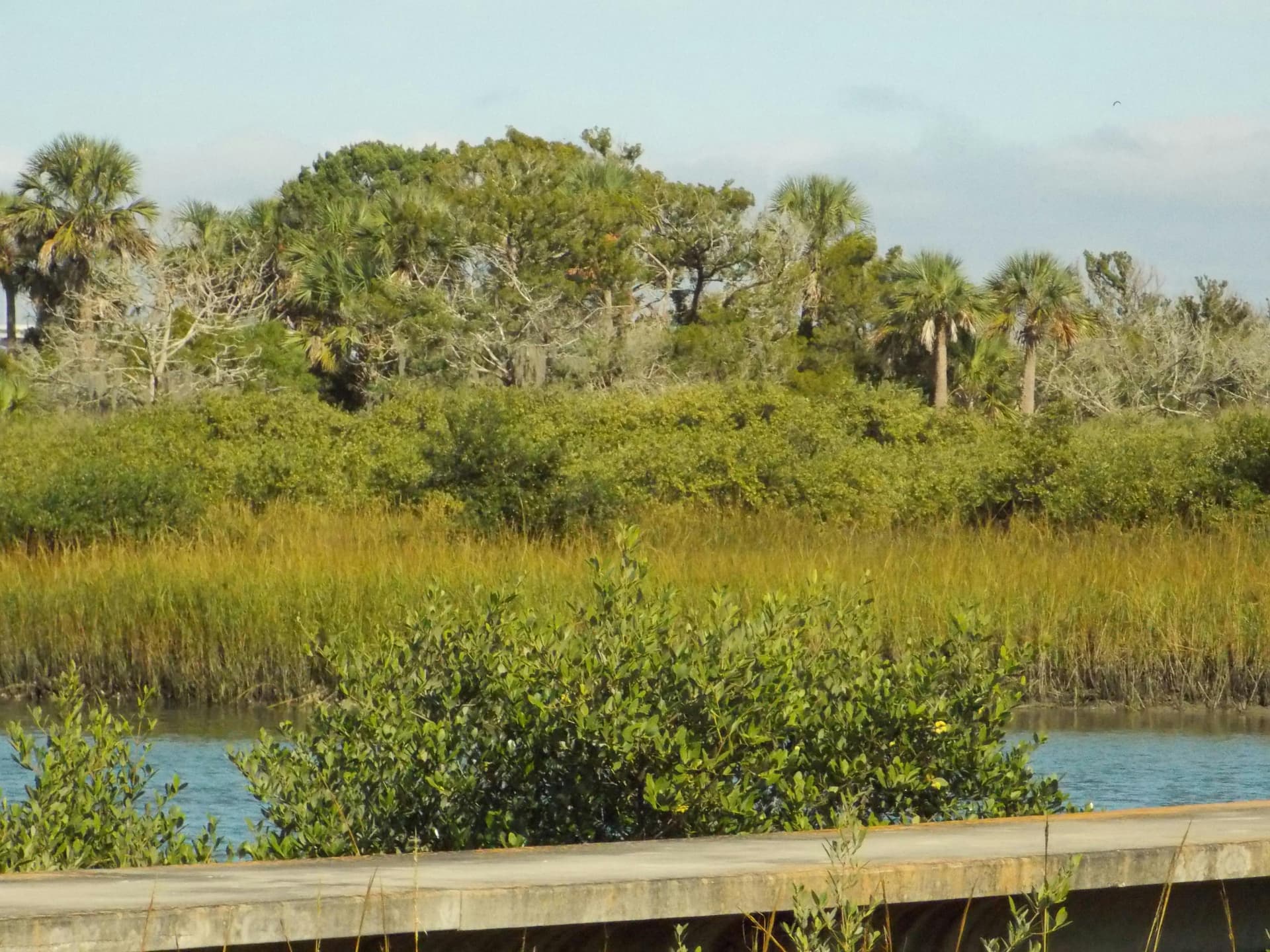 How Many Calories in Alcohol: Complete Guide by Drink Type