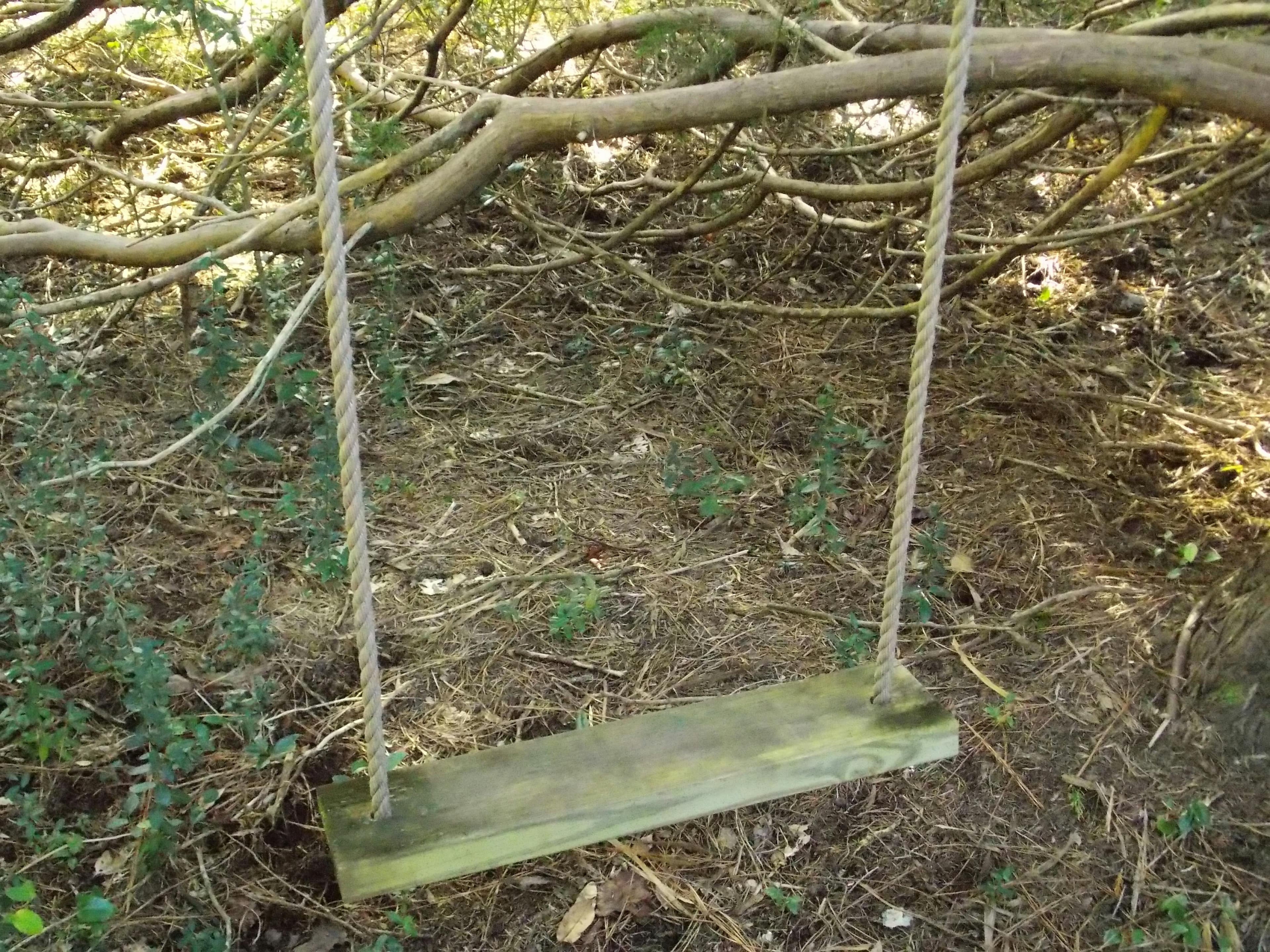 Cheat meal and healthy eating balance