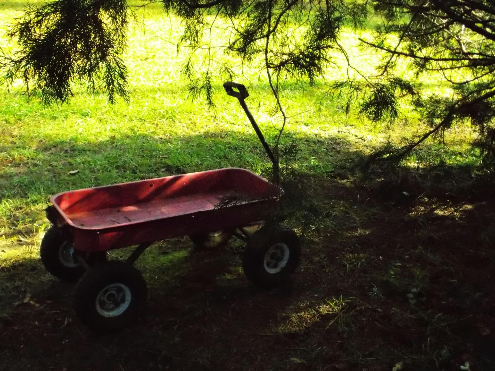 Refeed Day vs Cheat Day: Key Differences Explained